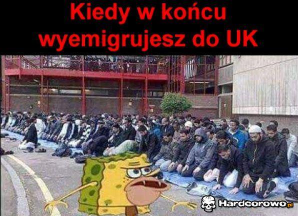 Kiedy w końcu wyemigrujesz - 1