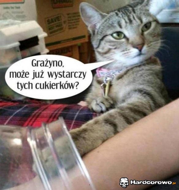 Doradca silnej i niezależnej kobiety - 1