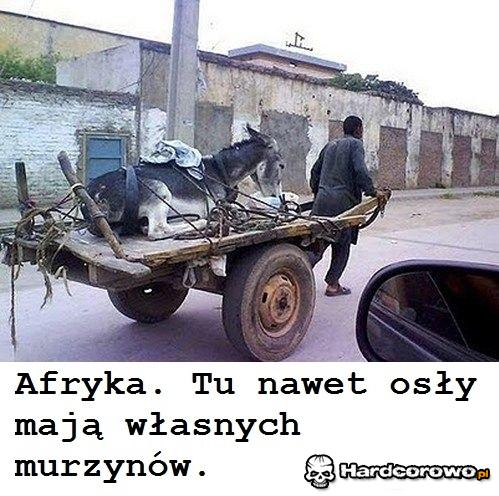 Tak to tylko w Afryce - 1