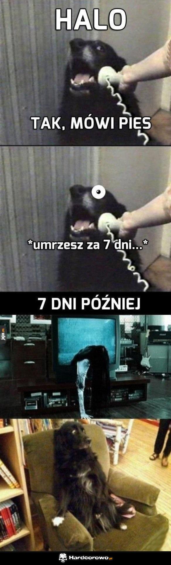 Klątwa dotknie każdego - 1