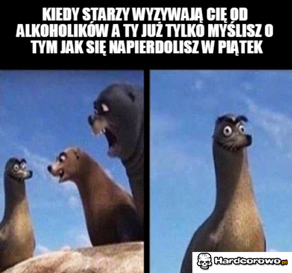 Awantura ze starymi - 1