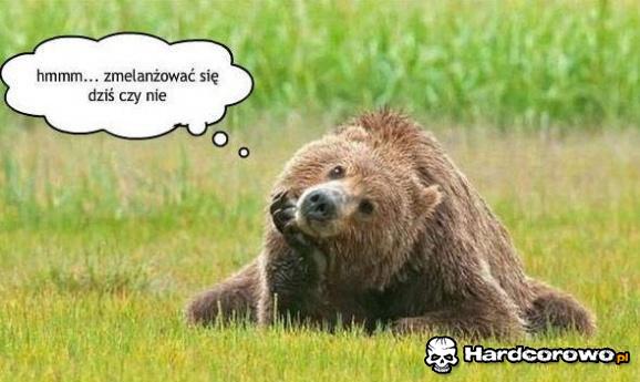 Melanżyk? - 1