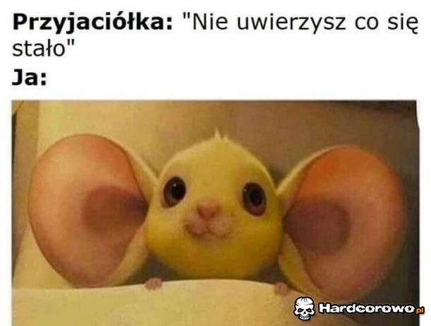 Typowa plotkara - 1