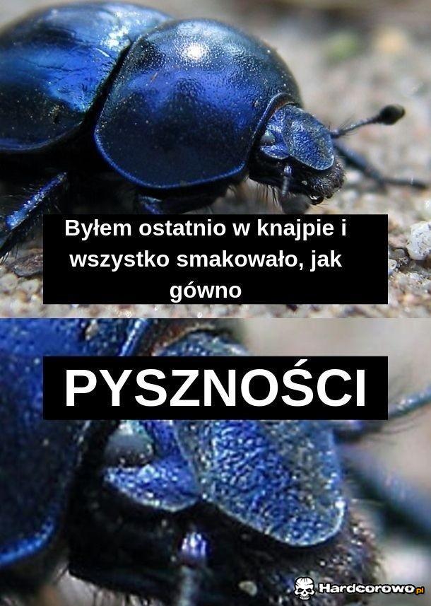 Żuczek - 1