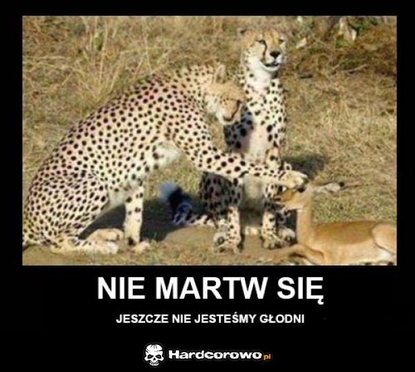 Nie martw się  - 1