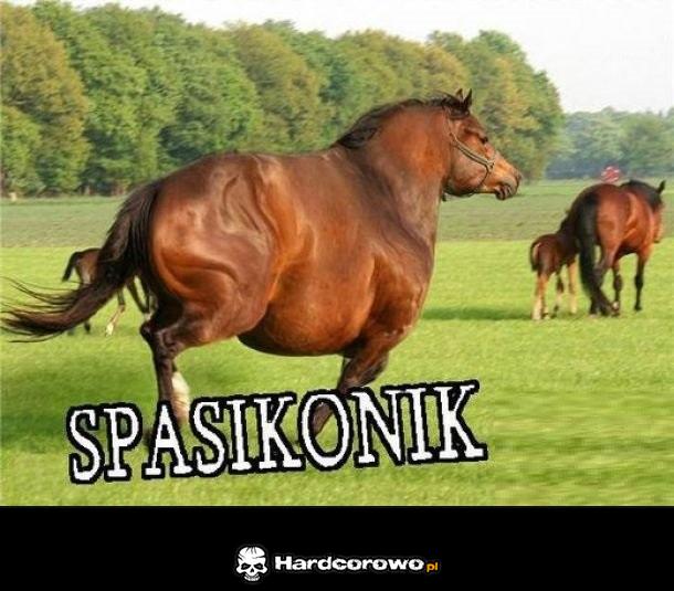 Spasikonik - 1
