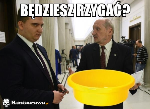 Będzie pawik - 1