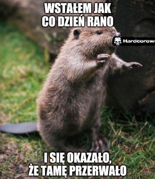  - 1