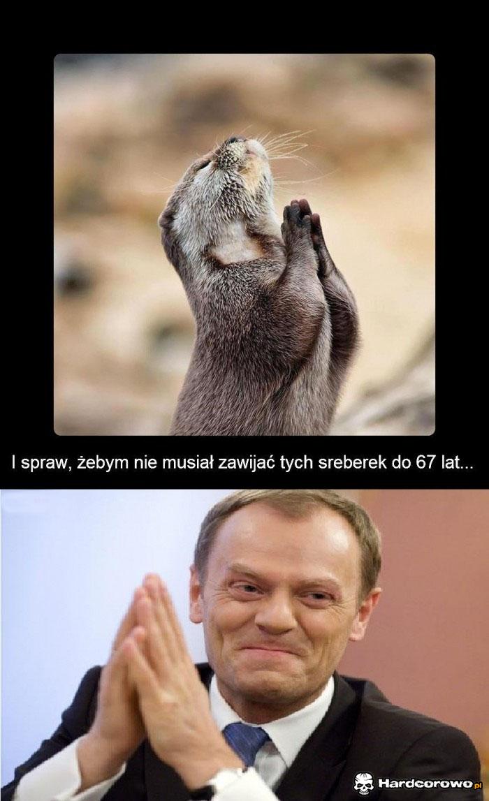 Nadzieja matką głupich - 1