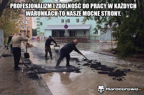 Profesjonalizm - 1