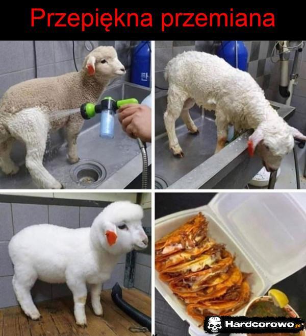  - 1