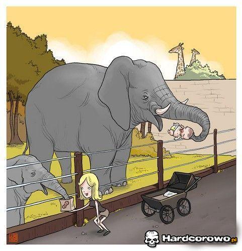 Karmienie słoników w Zoo - 1