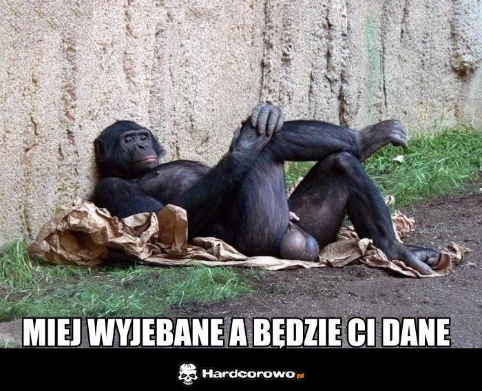 Miej wyjebane - 1