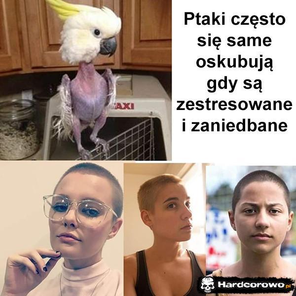 - 1