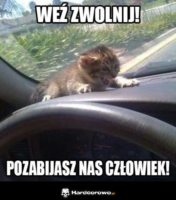 Weź zwolnij - 1