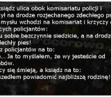 Zdechły pies