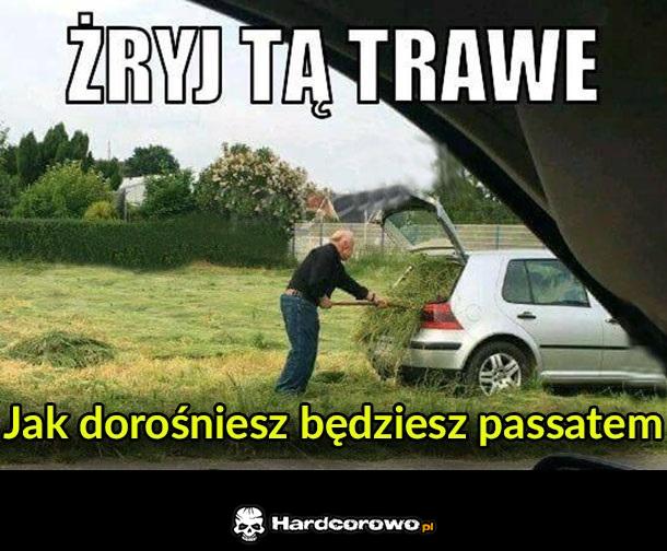 Żryj tą trawę - 1