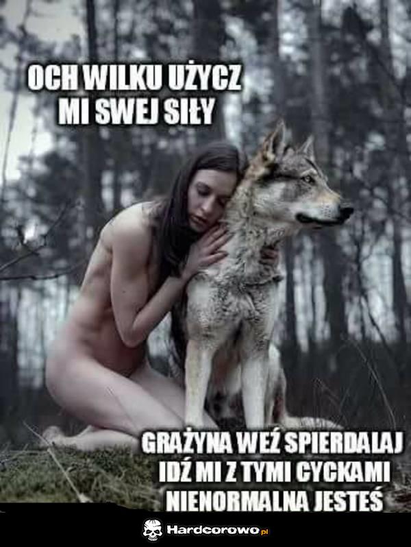 Wilku - 1