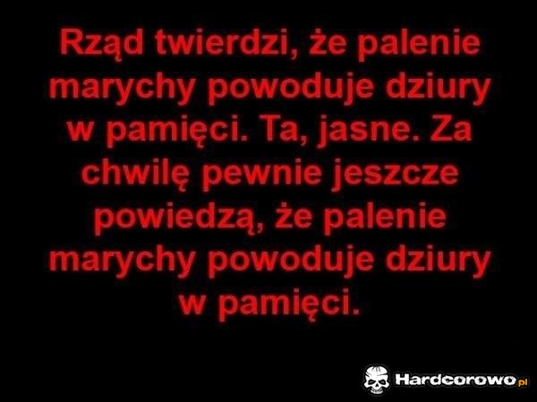 Dziury w mózgu - 1