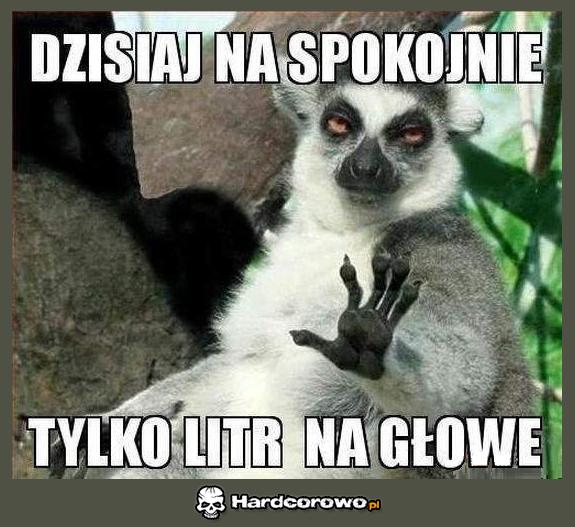 Dzisiaj na spokojnie - 1