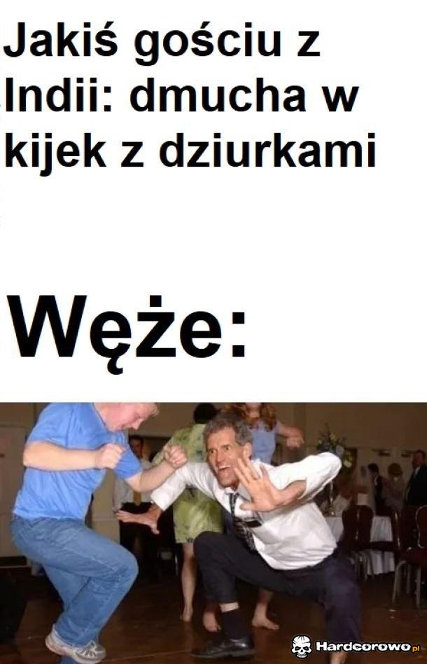 Węże - 1