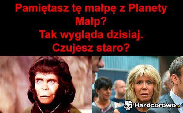 Małpa - 1