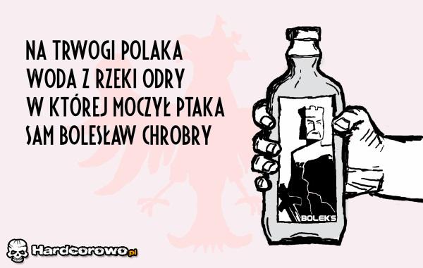 Polska wódka - 1