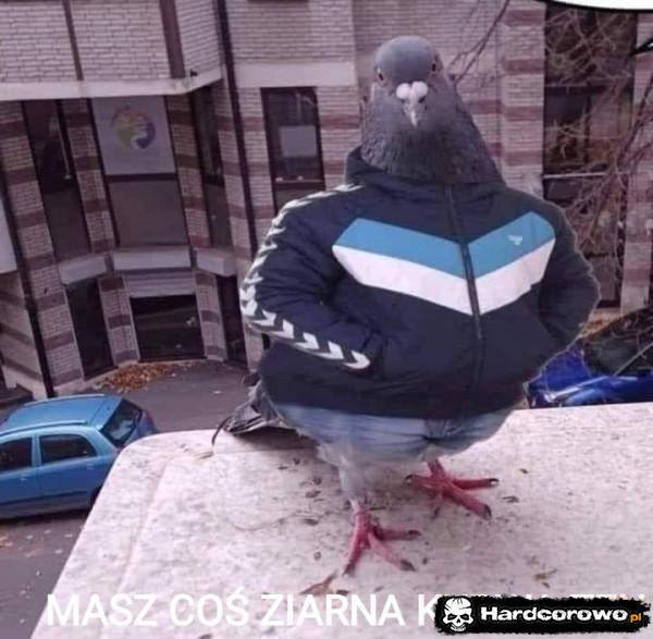  - 1