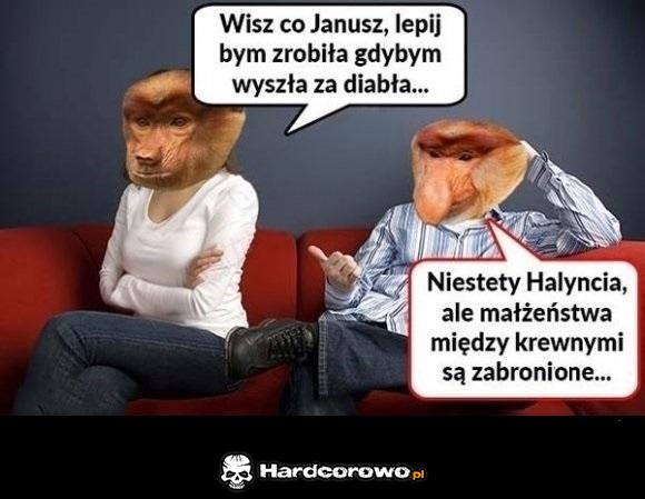 Janusz - mistrz ciętej riposty - 1