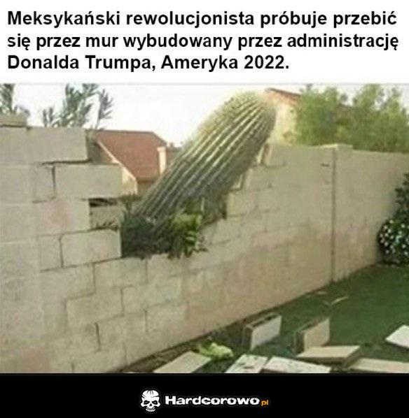 Szokujące zdjęcie - 1