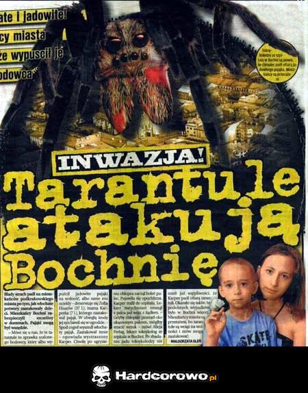 Inwazja tarantul  - 1