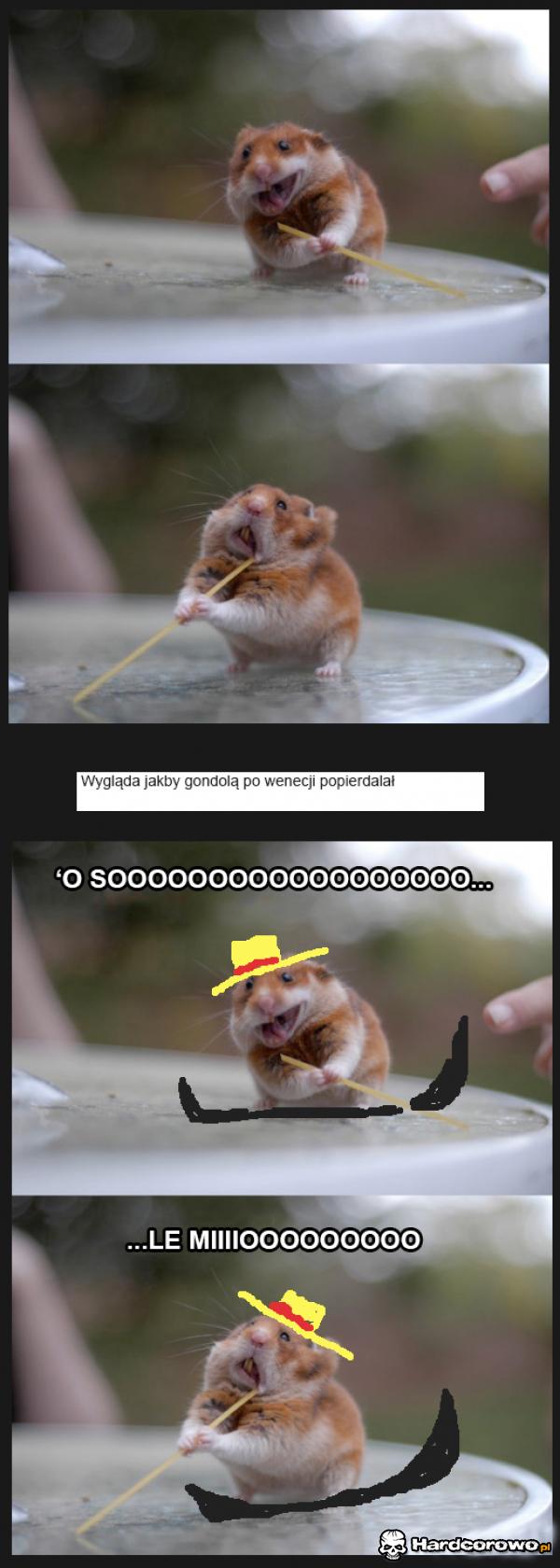 Gondolą po Wenecji  - 1