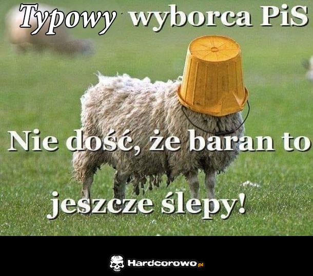 Typowy wyborca PIS - 1