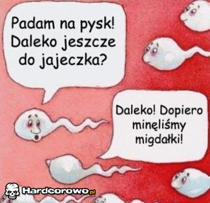 Padam na pysk, daleko jeszcze do jajeczka? - 1