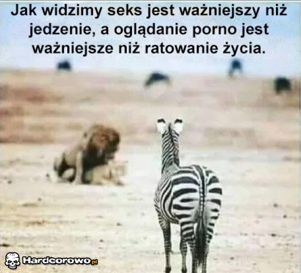 Nic dodać nic ująć - 1