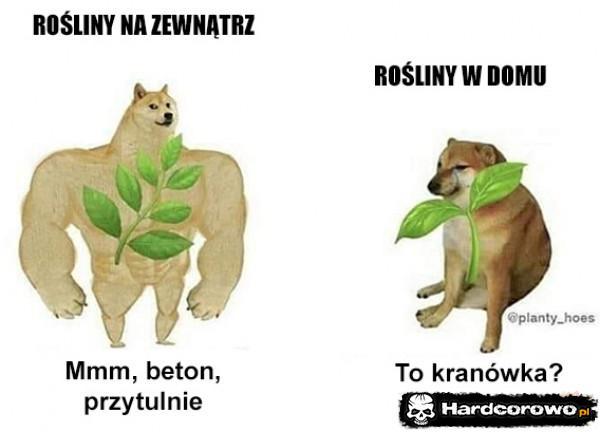  - 1