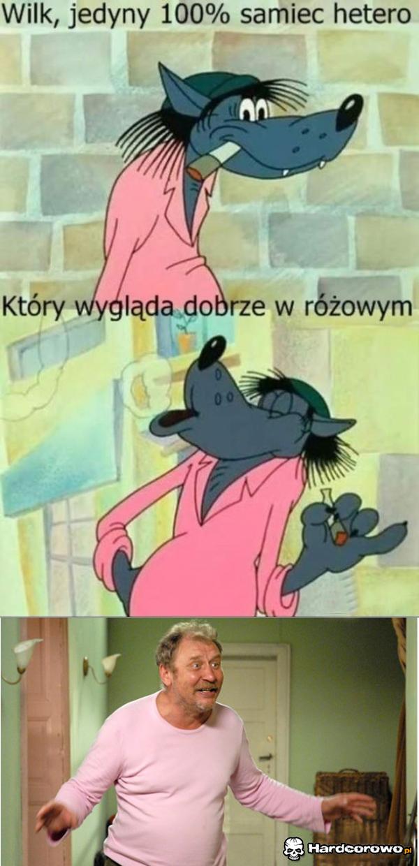 100% samiec  - 1