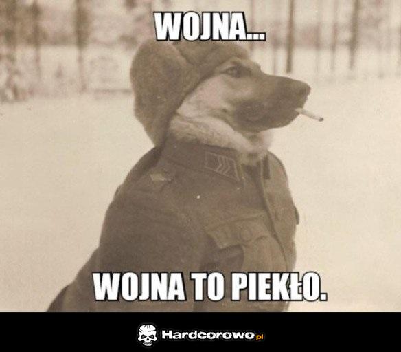 Pies wojny - 1