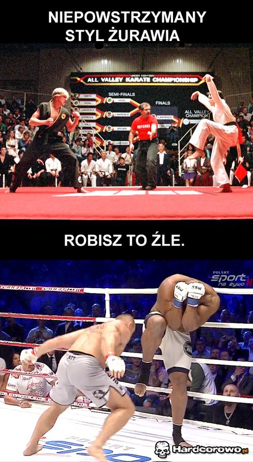 Niepowstrzymany styl żurawia - 1