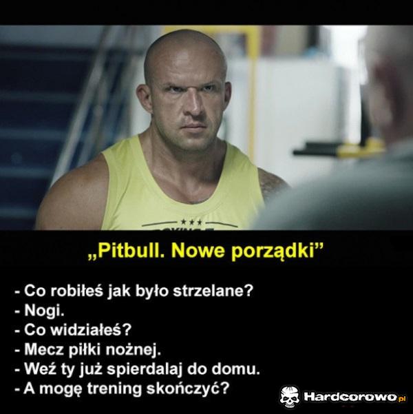 Pitbull - 1