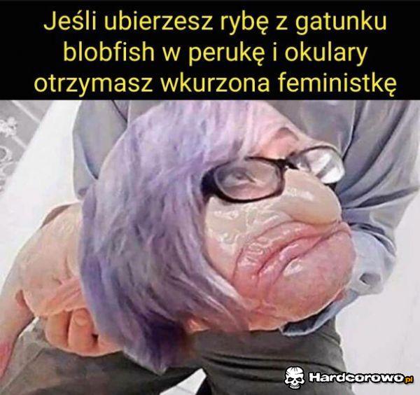 Feministka - 1