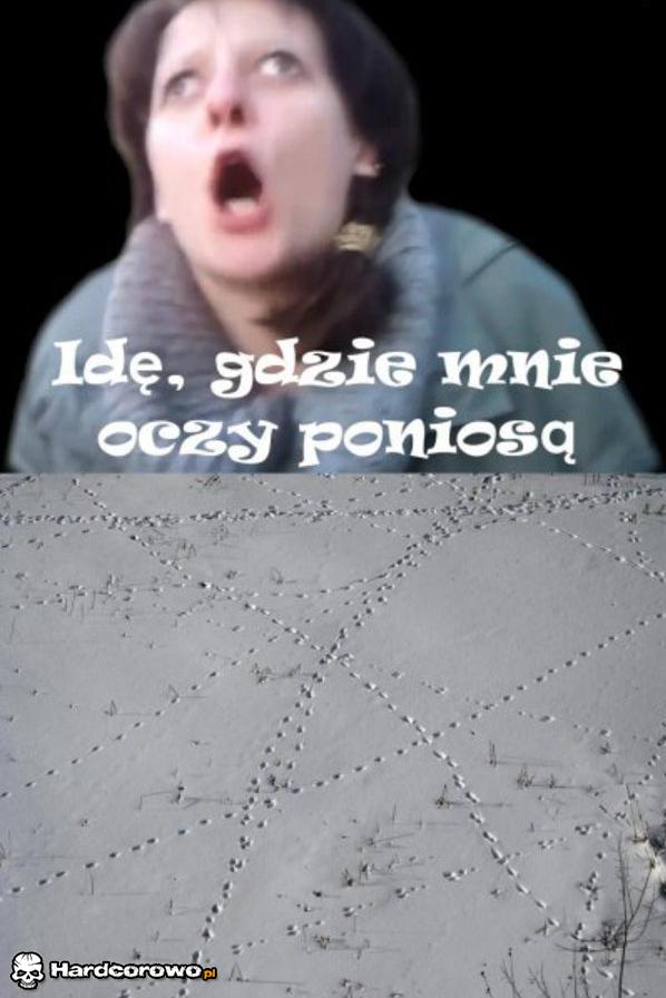 Gdzie oczy poniosą  - 1