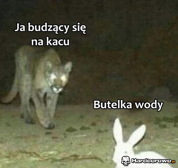 Ciężka pobudka - 1