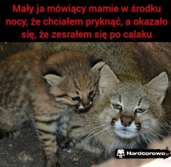  - 1