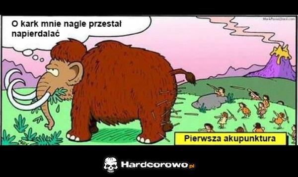 Akupunktura - 1
