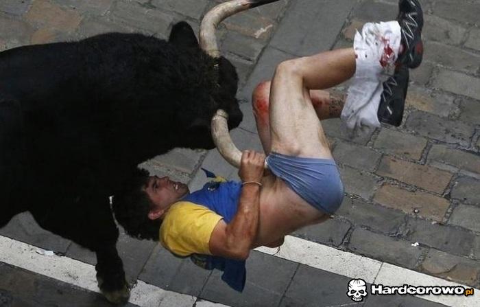Igranie z byczkiem - 1