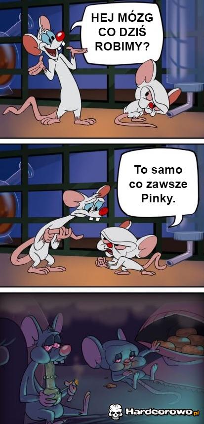 Pinky i Mózg - 1