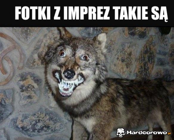 Fotki z imprez - 1