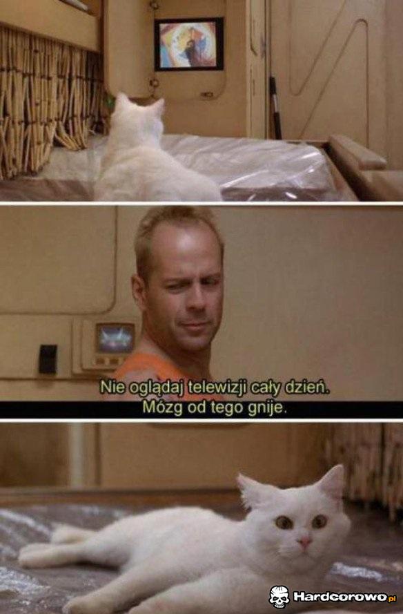 Nie oglądaj tyle telewizji - 1