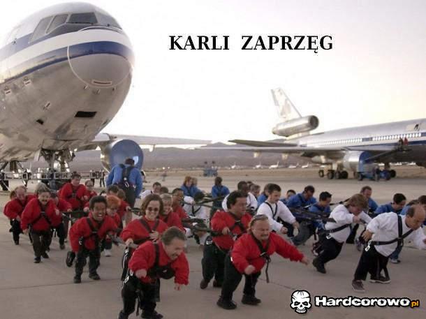 Karli zaprzęg  - 1